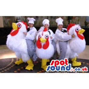 Three giant, white, fluffy chicken mascots with yellow beaks -