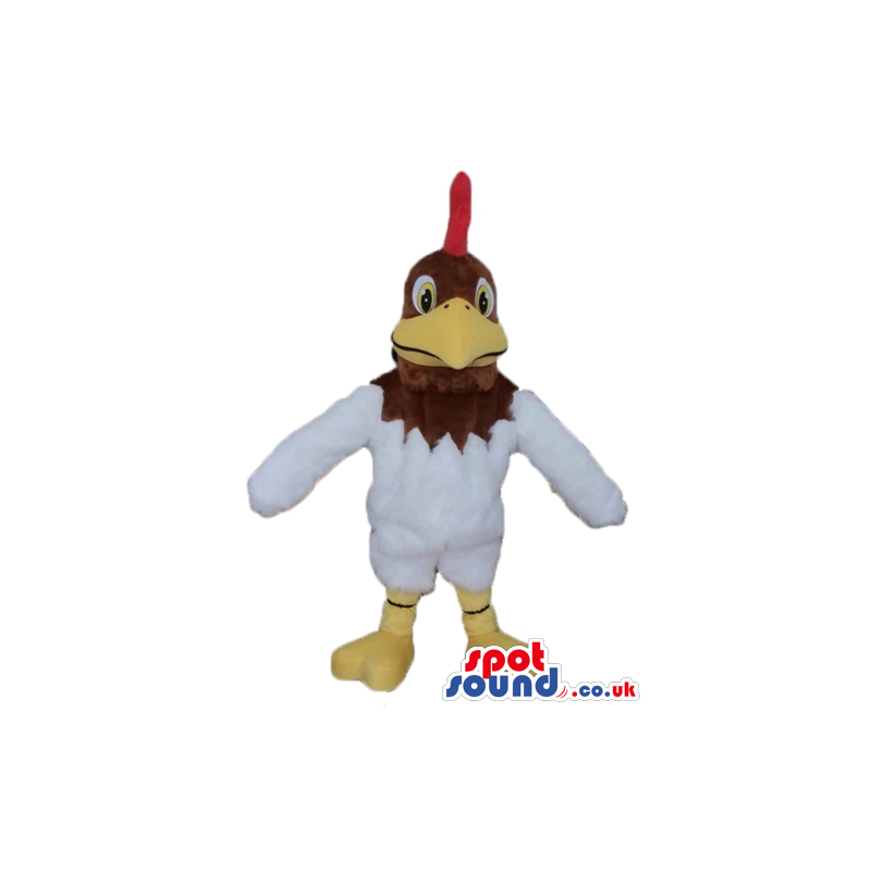 White cock with brown head, big yellow beak, red hair and beard