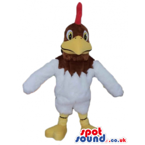 White cock with brown head, big yellow beak, red hair and beard