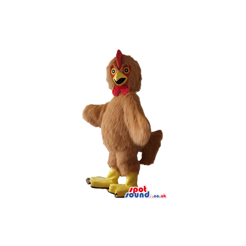 Serious brown cock with a yellow beak, red crest and beard and
