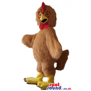 Serious brown cock with a yellow beak, red crest and beard and