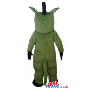 Military green dinosaur with black feet and hands a black crest