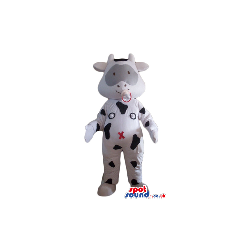 Happy baby white cow with black spots and a grey patch round