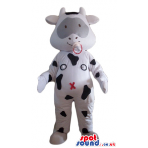 Happy baby white cow with black spots and a grey patch round