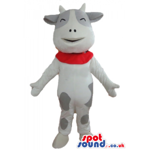 Smiling white and grey cow with red foulard round the neck -