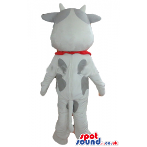 Smiling white and grey cow with red foulard round the neck -