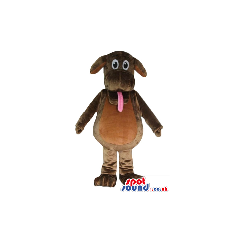 Chocolate brown dog with small ears and a long pink tongue -