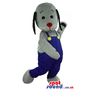 Grey dog with long black ears and a small red nose wearing a