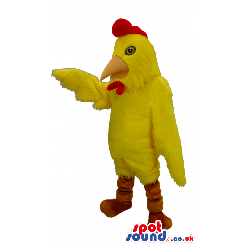 Bright yellow chicken mascot with red wattle and comb - Custom