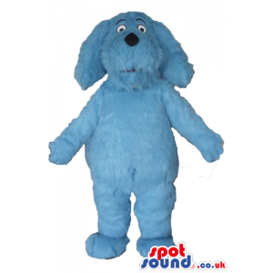 Light-blue furry dog with a small black nose and black eyes -