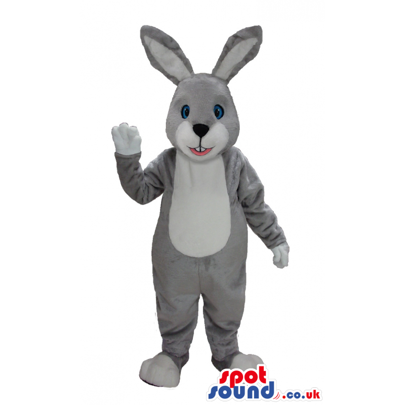 Joyous grey rabbit mascot with blue eyes and white underbelly -