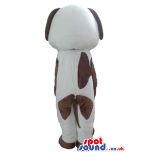 Spotted white and brown dog with long brown ears, brown arms