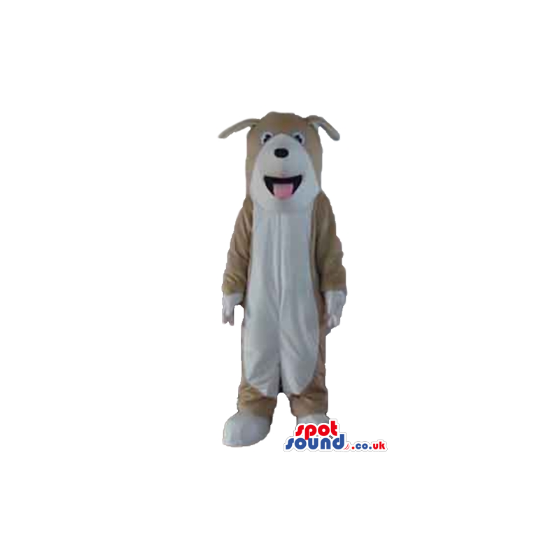 Beige dog with white belly, mouth, hand and feet sticking out a