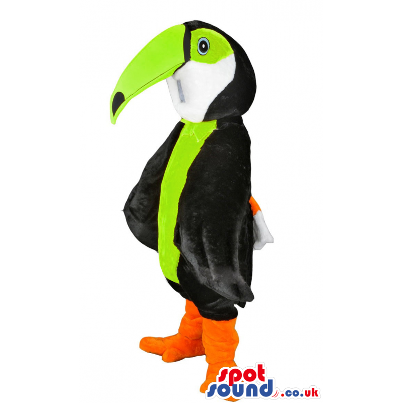 Toucan mascot with black, green,white and orange feathers -