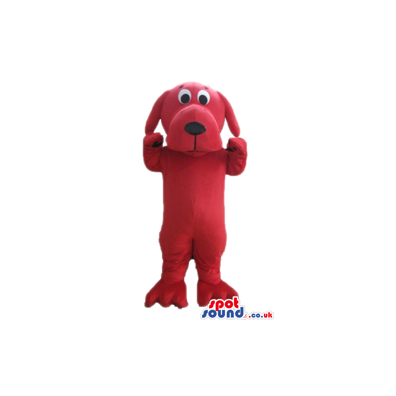 Red dog with round black eyes and a small black nose - Custom