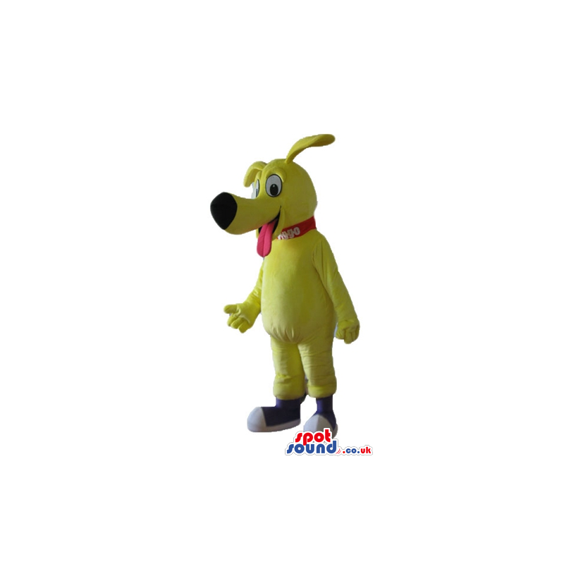 Yellow dog with big eyes and long nose, sticking its red tongue