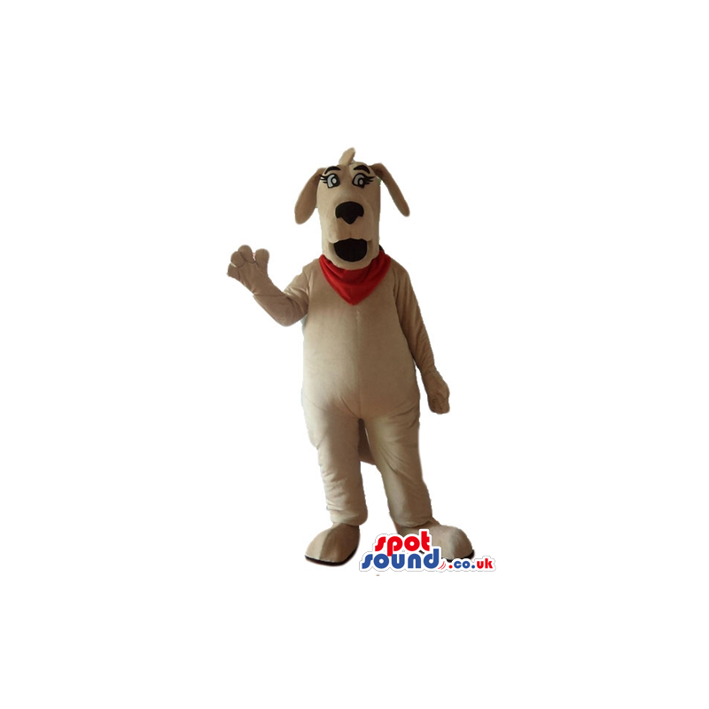 Beige dog with small eyes and a red handkerchief - Custom