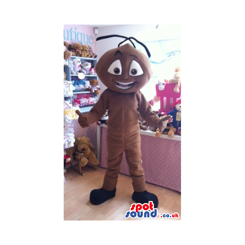 Giant standing brown ant mascot with thick black antennae -