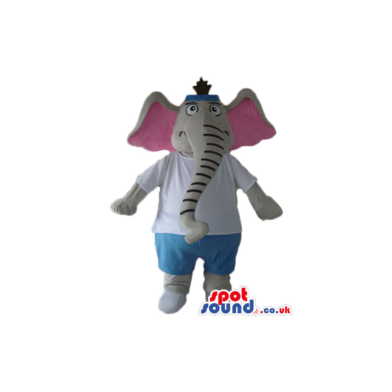 Grey elephant with big pink ears wearing a white t-shirt and