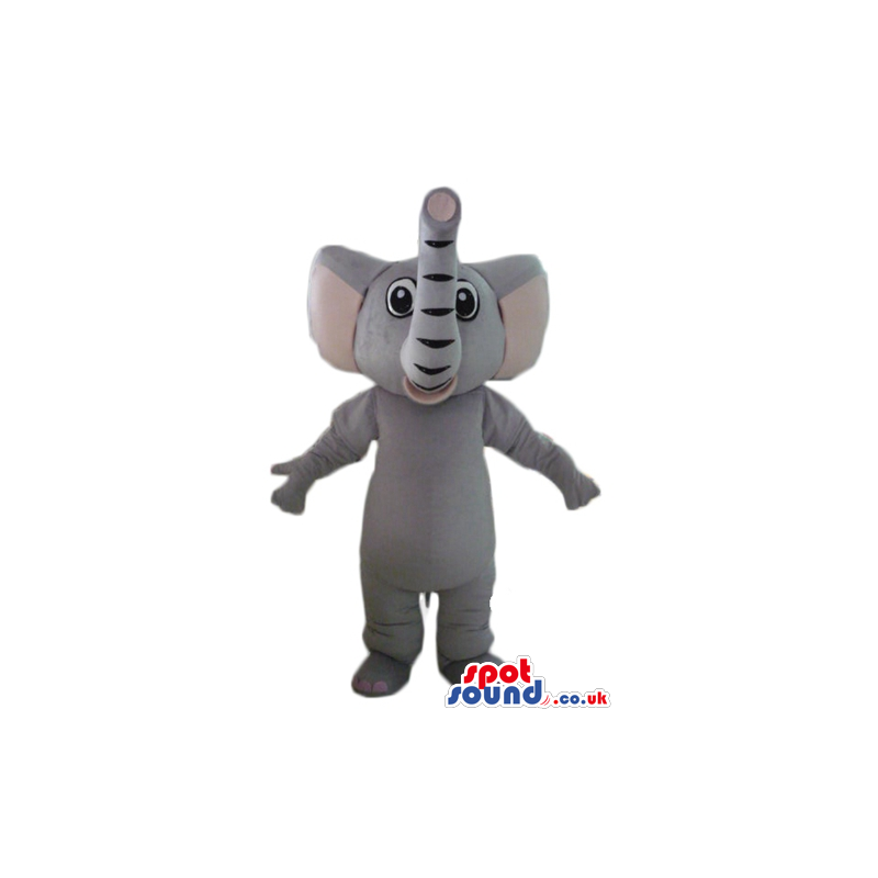 Grey elephant with long raised trunk and big eyes - Custom