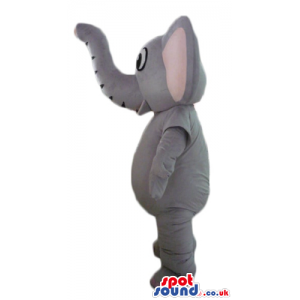 Grey elephant with long raised trunk and big eyes - Custom