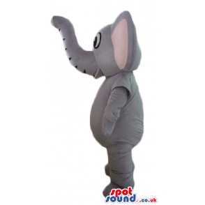 Grey elephant with long raised trunk and big eyes - Custom