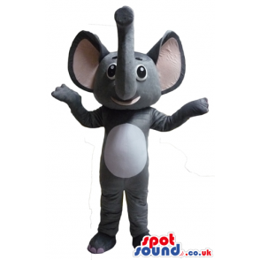 Thin grey elephant with long trunk, white belly and big ears -