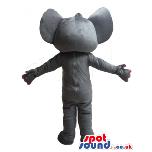 Thin grey elephant with long trunk, white belly and big ears -
