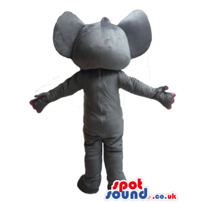 Thin grey elephant with long trunk, white belly and big ears -