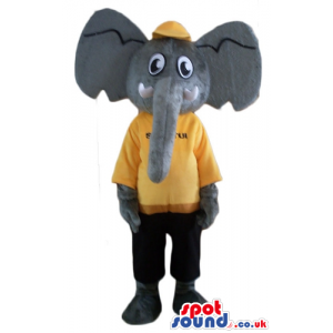 Grey elephant wearing a yellow cap, a yellow t-shirt and black