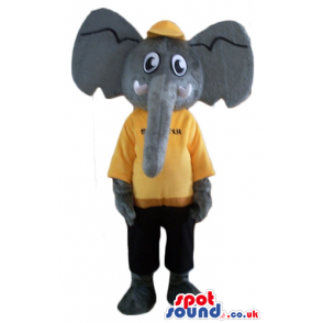 Grey elephant wearing a yellow cap, a yellow t-shirt and black