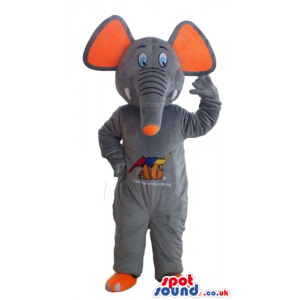 Grey elephant with orange ears and feet and picture on the