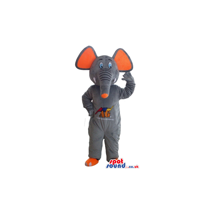 Grey elephant with orange ears and feet and picture on the