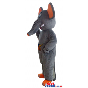 Grey elephant with orange ears and feet and picture on the