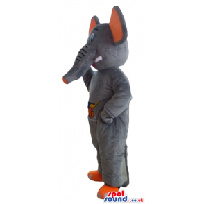 Grey elephant with orange ears and feet and picture on the