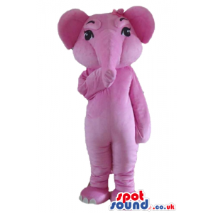 Mascot costume of a pink elephant - Custom Mascots
