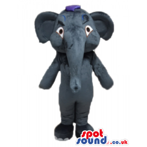 Mascot costume of a dark grey elephant with blue hair - Custom