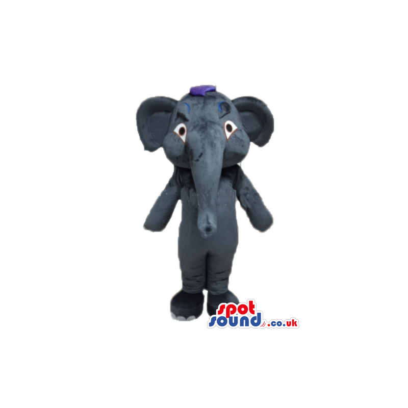 Mascot costume of a dark grey elephant with blue hair - Custom