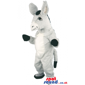 Grey donkey mascot with white underbelly and stunning smile -