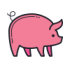 Mascots pig
