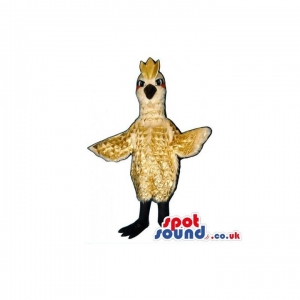 SPOTSOUND UK Mascot of the day : Green Parrot Mascot Wearing Sunglasses, A Vest And A Hat. Discover our #spotsound #uk #mascots and all other Mascot of birdson our webiste : https://bit.ly/3sKy4o970. #mascot #costume #party #marketing #events #mascots https://www.spotsound.co.uk/mascot-of-birds/3278-green-parrot-mascot-wearing-sunglasses-a-vest-and-a-hat.html