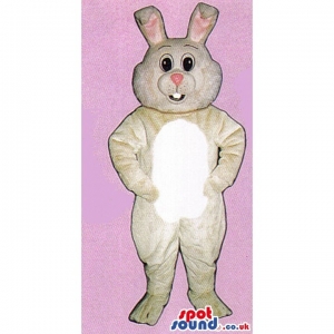 SPOTSOUND UK Mascot of the day : White Rabbit Animal Plush Mascot With A Pink Nose And Ears. Discover our #spotsound #uk #mascots and all other Rabbit mascoton our webiste : https://bit.ly/3sKy4o1642. #mascot #costume #party #marketing #events #mascots https://www.spotsound.co.uk/rabbit-mascot/4029-white-rabbit-animal-plush-mascot-with-a-pink-nose-and-ears.html