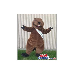 SPOTSOUND UK Mascot of the day : Brown Beaver Animal Plush Mascot With A White Sash With Text. Discover our #spotsound #uk #mascots and all other Animal mascots of the foreston our webiste : https://bit.ly/3sKy4o2101. #mascot #costume #party #marketing ... https://www.spotsound.co.uk/animal-mascots-of-the-forest/4559-brown-beaver-animal-plush-mascot-with-a-white-sash-with-text.html