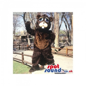 SPOTSOUND UK Mascot of the day : All Brown Beaver Animal Plush Mascot With Blue Eyes. Discover our #spotsound #uk #mascots and all other Animal mascots of the foreston our webiste : https://bit.ly/3sKy4o1587. #mascot #costume #party #marketing #events #... https://www.spotsound.co.uk/animal-mascots-of-the-forest/3968-all-brown-beaver-animal-plush-mascot-with-blue-eyes.html