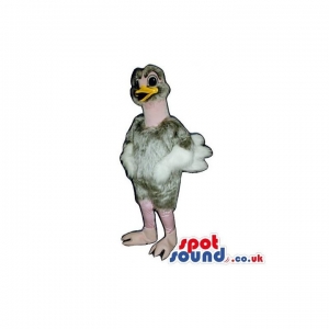 SPOTSOUND UK Mascot of the day : Customizable Grey And Pink Ostrich Bird Mascot With Funny Tail. Discover our #spotsound #uk #mascots and all other Mascot of birdson our webiste : https://bit.ly/3sKy4o975. #mascot #costume #party #marketing #events #mas... https://www.spotsound.co.uk/mascot-of-birds/3284-customizable-grey-and-pink-ostrich-bird-mascot-with-funny-tail.html