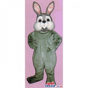 SPOTSOUND UK Mascot of the day : Grey Rabbit Animal Plush Mascot With A White Face And Pink Ears. Discover our #spotsound #uk #mascots and all other Rabbit mascoton our webiste : https://bit.ly/3sKy4o1643. #mascot #costume #party #marketing #events #mas... https://www.spotsound.co.uk/rabbit-mascot/4030-grey-rabbit-animal-plush-mascot-with-a-white-face-and-pink-ears.html