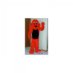 SPOTSOUND UK Mascot of the day : Red Dog Pet Animal Plush Mascot With A Black Belly. Discover our #spotsound #uk #mascots and all other Dog mascotson our webiste : https://bit.ly/3sKy4o2070. #mascot #costume #party #marketing #events #mascots https://www.spotsound.co.uk/dog-mascots/4525-red-dog-pet-animal-plush-mascot-with-a-black-belly.html