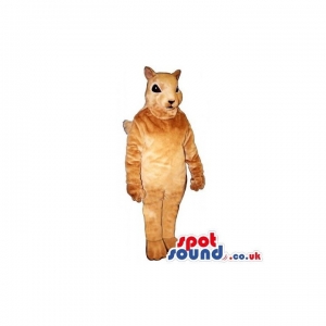 SPOTSOUND UK Mascot of the day : Customizable Cute Innocent All Brown Chipmunk Mascot. Discover our #spotsound #uk #mascots and all other Animal mascots of the foreston our webiste : https://bit.ly/3sKy4o948. #mascot #costume #party #marketing #events #... https://www.spotsound.co.uk/animal-mascots-of-the-forest/3256-customizable-cute-innocent-all-brown-chipmunk-mascot.html