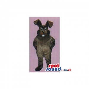 SPOTSOUND UK Mascot of the day : Customizable Plain All Dark Brown Rabbit Animal Mascot. Discover our #spotsound #uk #mascots and all other Rabbit mascoton our webiste : https://bit.ly/3sKy4o954. #mascot #costume #party #marketing #events #mascots https://www.spotsound.co.uk/rabbit-mascot/3262-customizable-plain-all-dark-brown-rabbit-animal-mascot.html