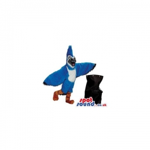 SPOTSOUND UK Mascot of the day : Transport Black Bag For Blue And White Bird Plush Mascot. Discover our #spotsound #uk #mascots and all other Mascot of birdson our webiste : https://bit.ly/3sKy4o1668. #mascot #costume #party #marketing #events #mascots https://www.spotsound.co.uk/mascot-of-birds/4056-transport-black-bag-for-blue-and-white-bird-plush-mascot.html